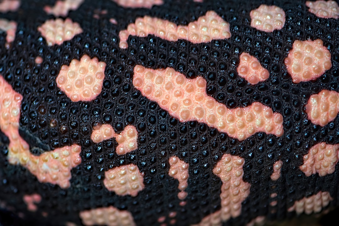Photo patterned leggings