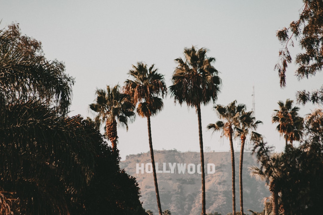 Photo hollywood party